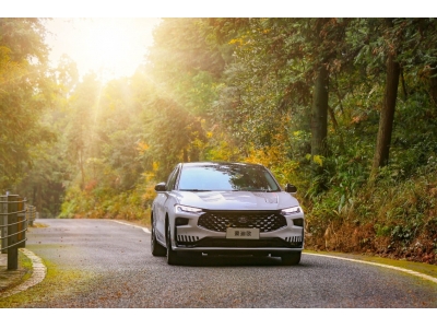 新一代蒙迪欧科技旗舰版正式上市